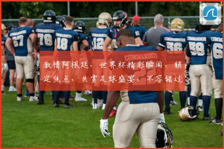 激情阿根廷，世界杯精彩瞬间，锁定焦点，共赏足球盛宴，不容错过
