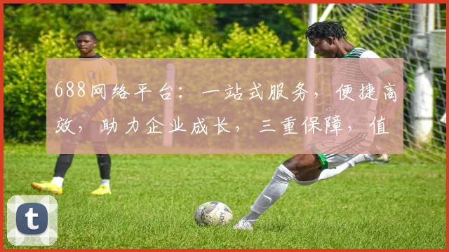 688网络平台：一站式服务，便捷高效，助力企业成长，三重保障，值得信赖，创新共赢