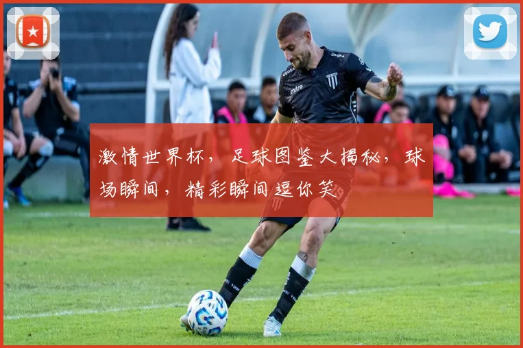 激情世界杯，足球图鉴大揭秘，球场瞬间，精彩瞬间逗你笑